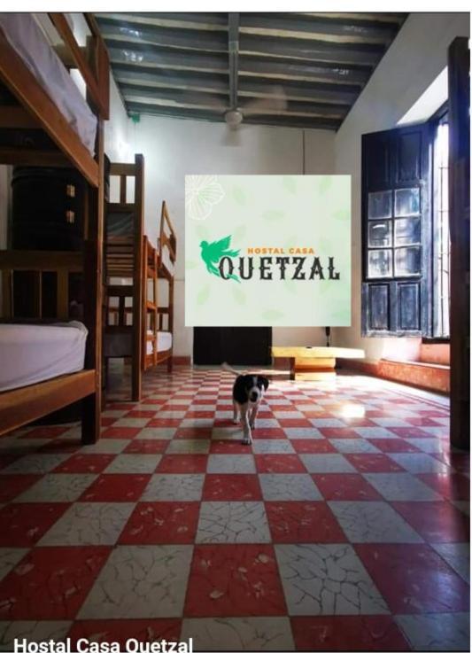 Hostel Casa Quetzal Кампече Екстериор снимка